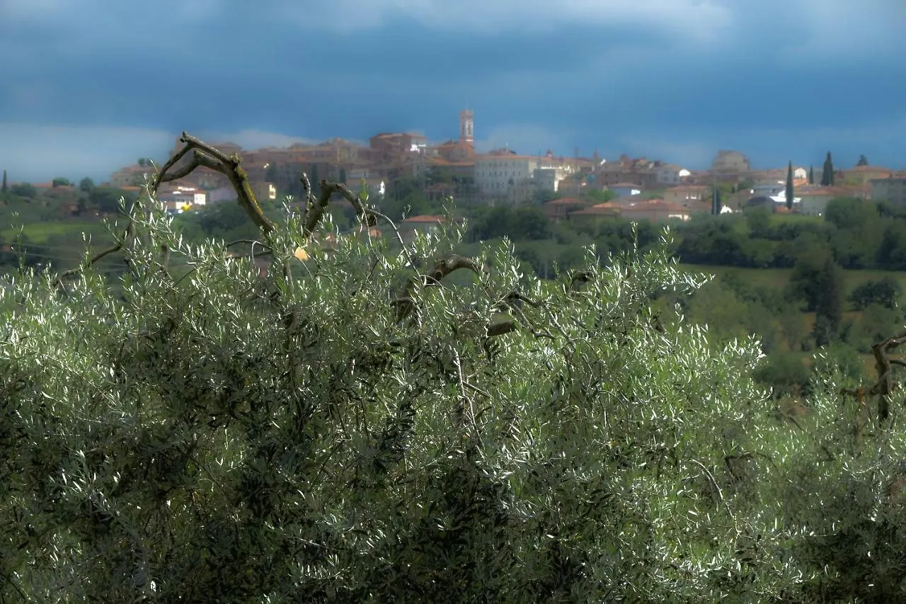 Apartment Casa Vacanze Fatucchi Foiano Della Chiana Italy